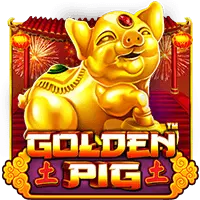 Golden Pig